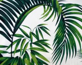 Anartists drawing of palm branches